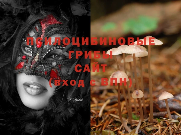 стафф Липки