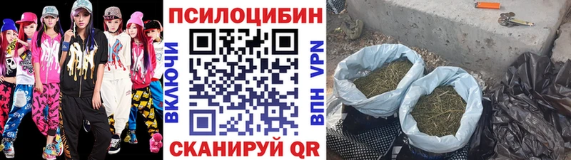 Галлюциногенные грибы MAGIC MUSHROOMS  Октябрьск 